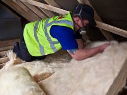 Best Eco-Friendly or Green Insulation Solutions  in Danbury, TX