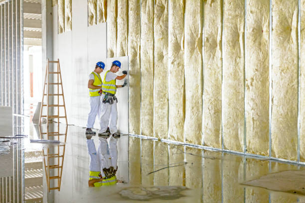 Best Pipe and Duct Insulation  in Danbury, TX